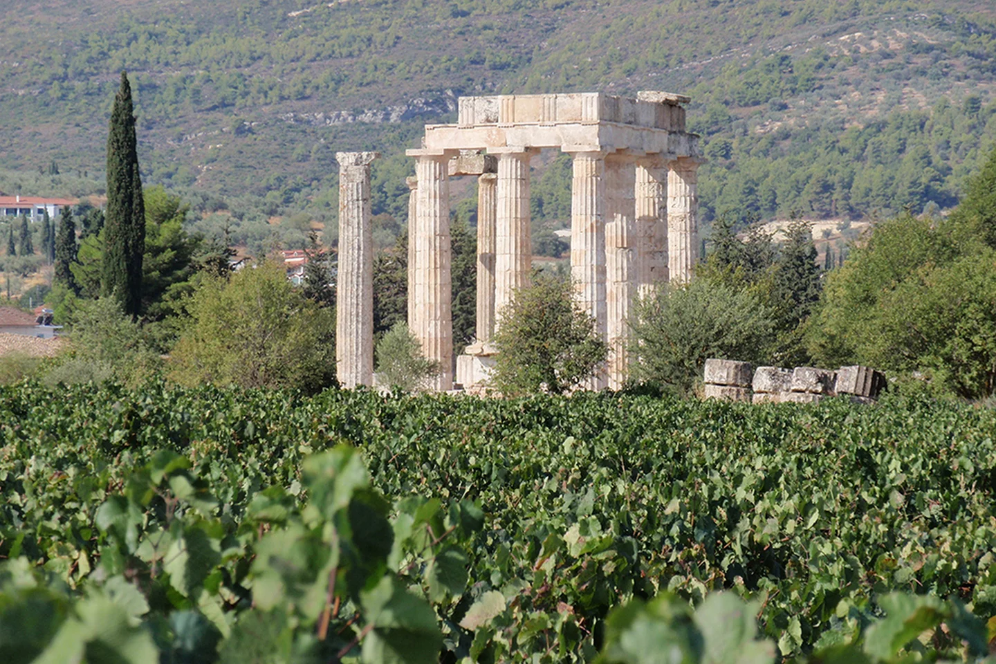 Nemea wineries, Greece
