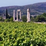 nemea greece- Yanni Athens Taxi Tours