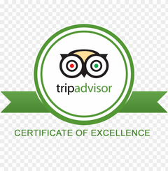 tripadvisor 240- Yanni Athens Taxi Tours